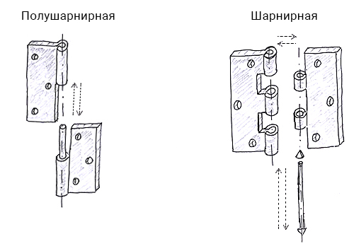 Виды петель дверей